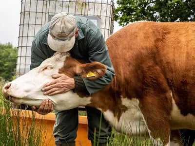 Tierschutz Deutschland: Förderung der Einheit für den Tierschutz