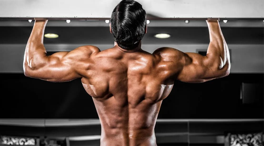 Trenavar: Alles, was du über dieses starke Supplement wissen musst, auf Fatburnerking