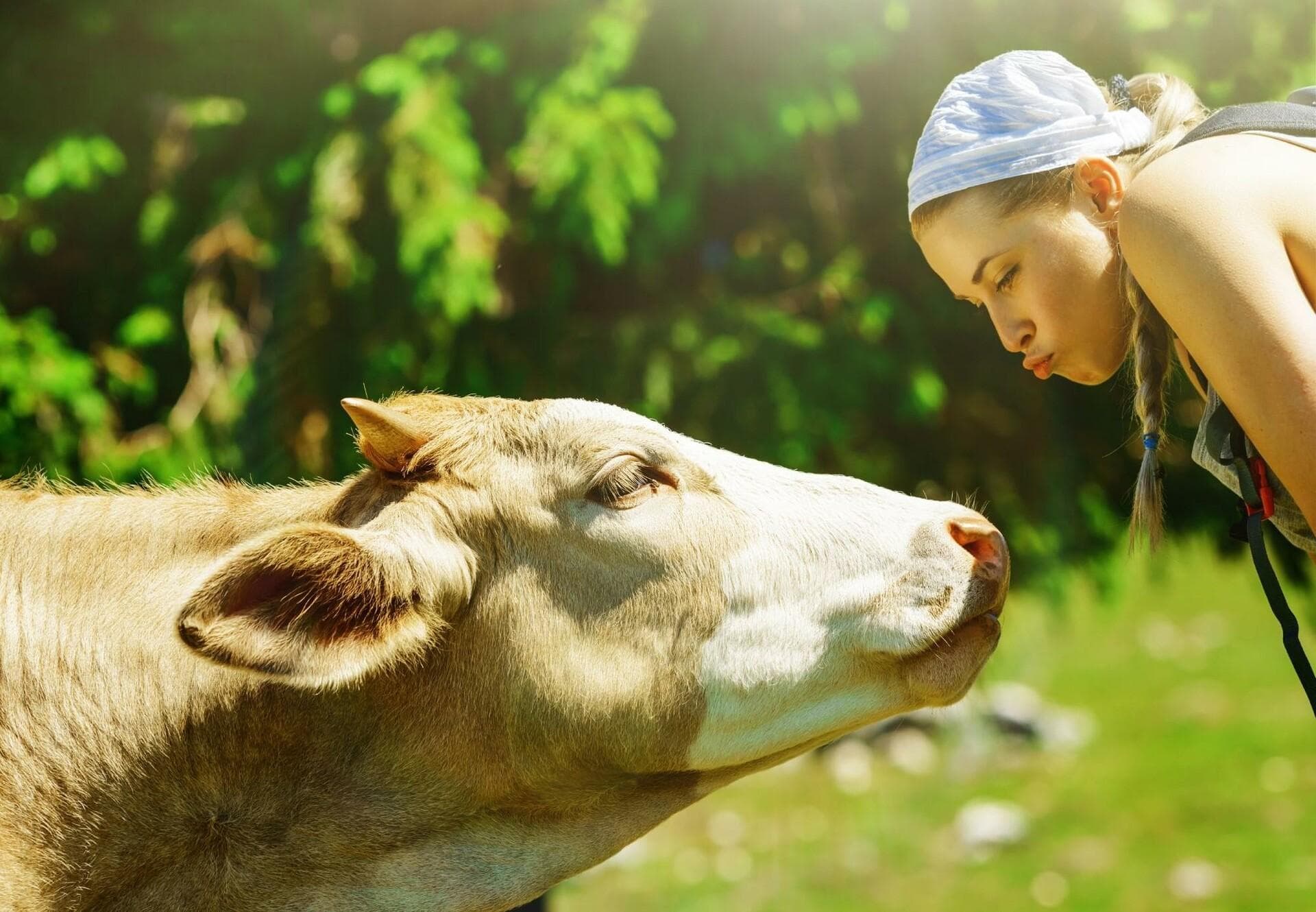 Tierschutz Deutschland: Förderung der Einheit für den Tierschutz