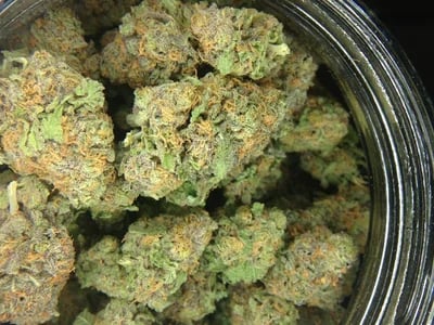 Langfristige Lagerung leicht gemacht – Cannabissamen kaufen legal in Deutschland