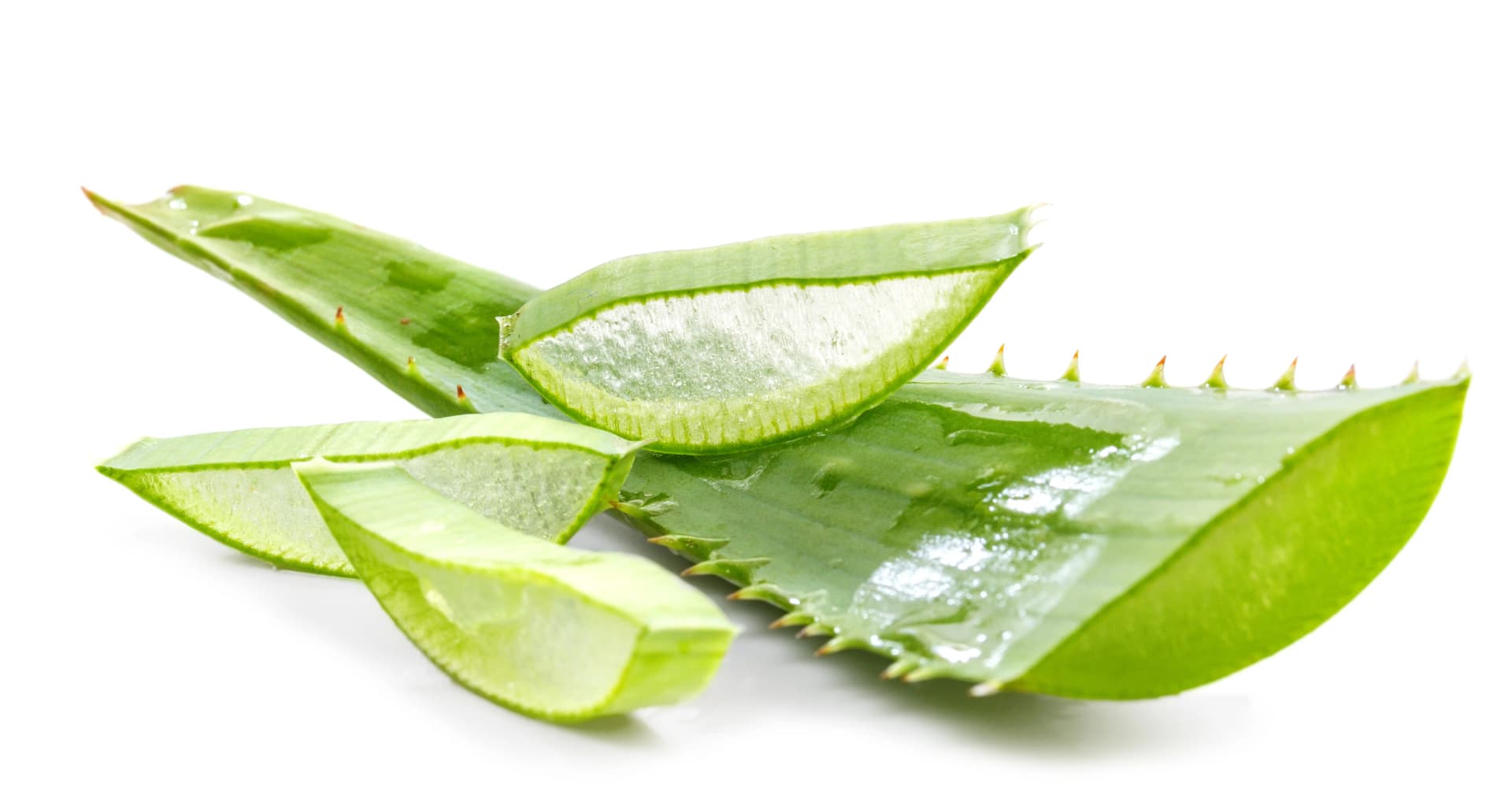 Erleben Sie den Unterschied: Kaufen Sie Forever Living Aloe Vera online