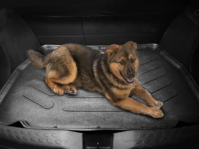 Premium 3D Auto Fußmatten Gummi – perfekt geformt für Ihr Fahrzeug