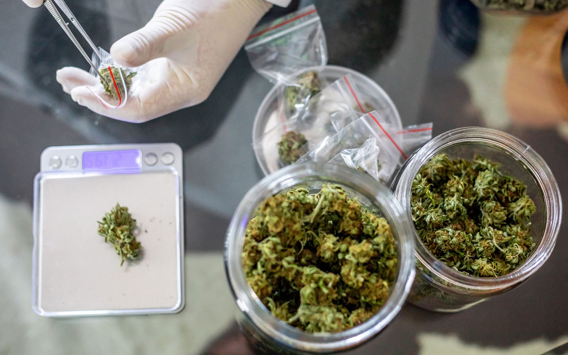 Langfristige Lagerung leicht gemacht – Cannabissamen kaufen legal in Deutschland
