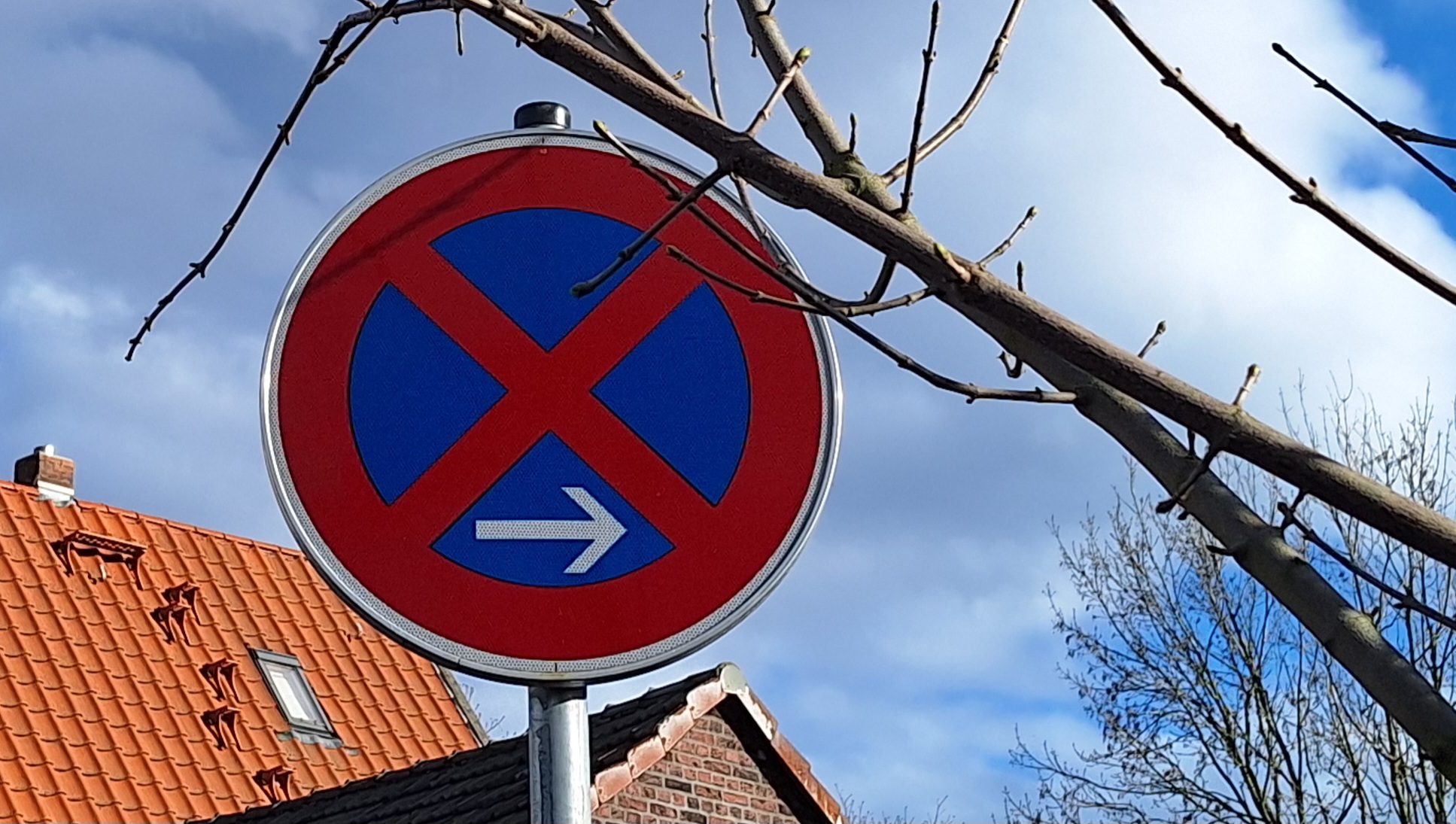 Wie ein Halteverbot Berlin Günstig vor Verkehrsproblemen bei Ihrem Umzug schützt