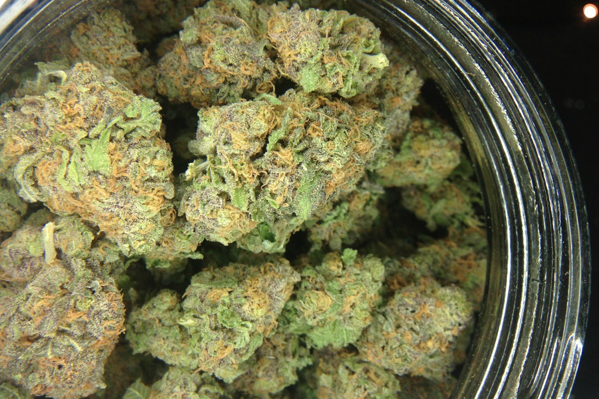 Langfristige Lagerung leicht gemacht – Cannabissamen kaufen legal in Deutschland