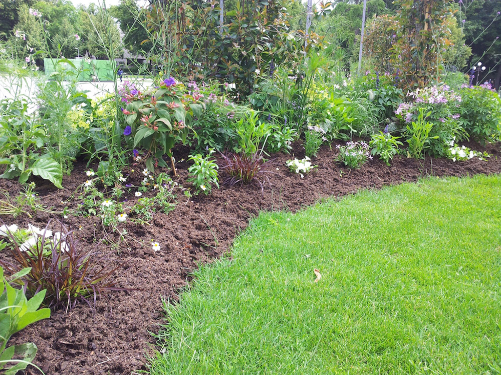 Die besten Quellen für Gartenfaser kaufen: Wo Sie hochwertige Materialien finden