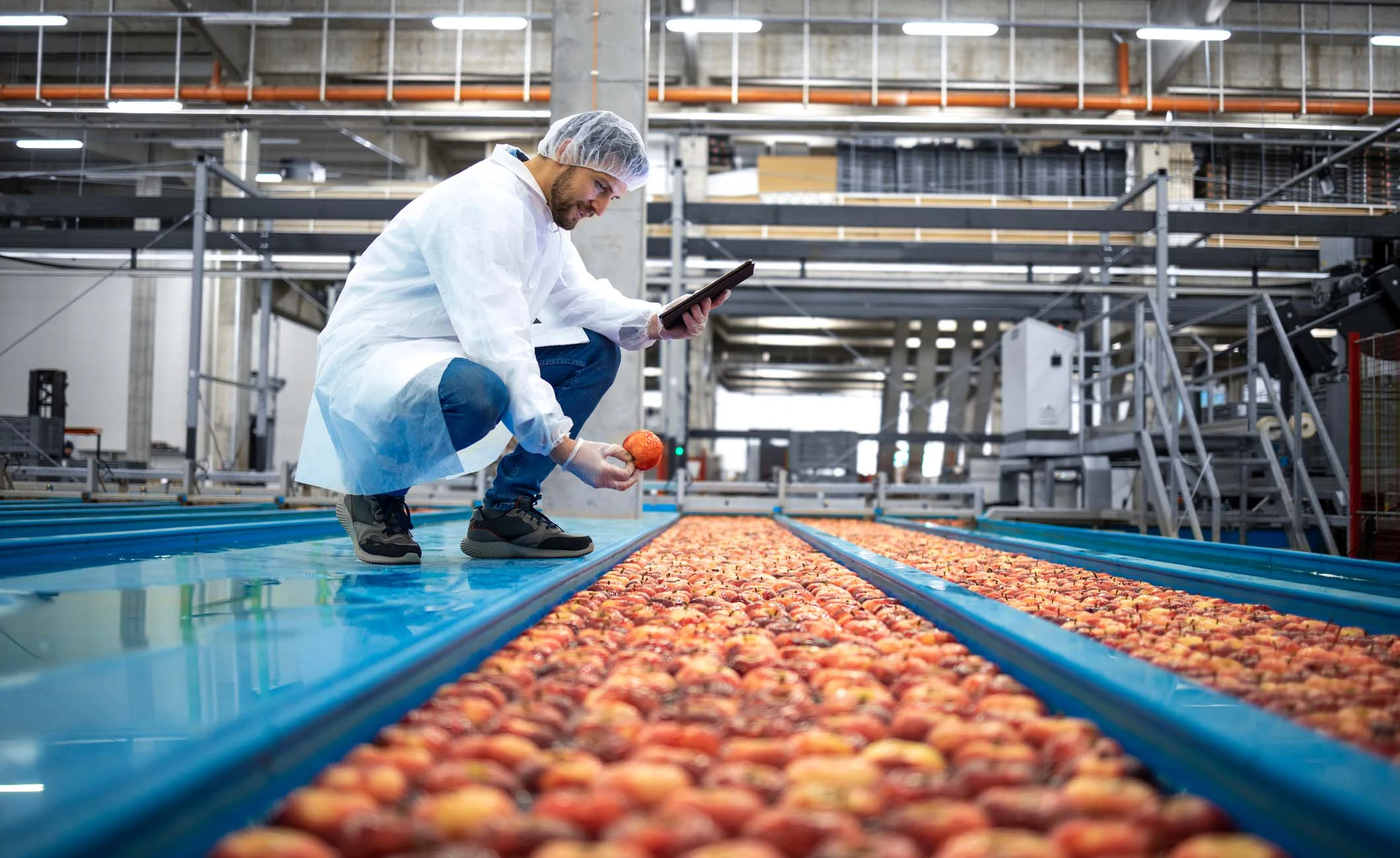 Lebensmitteltechniker Potsdam: Qualität und Sicherheit in der Lebensmittelproduktion