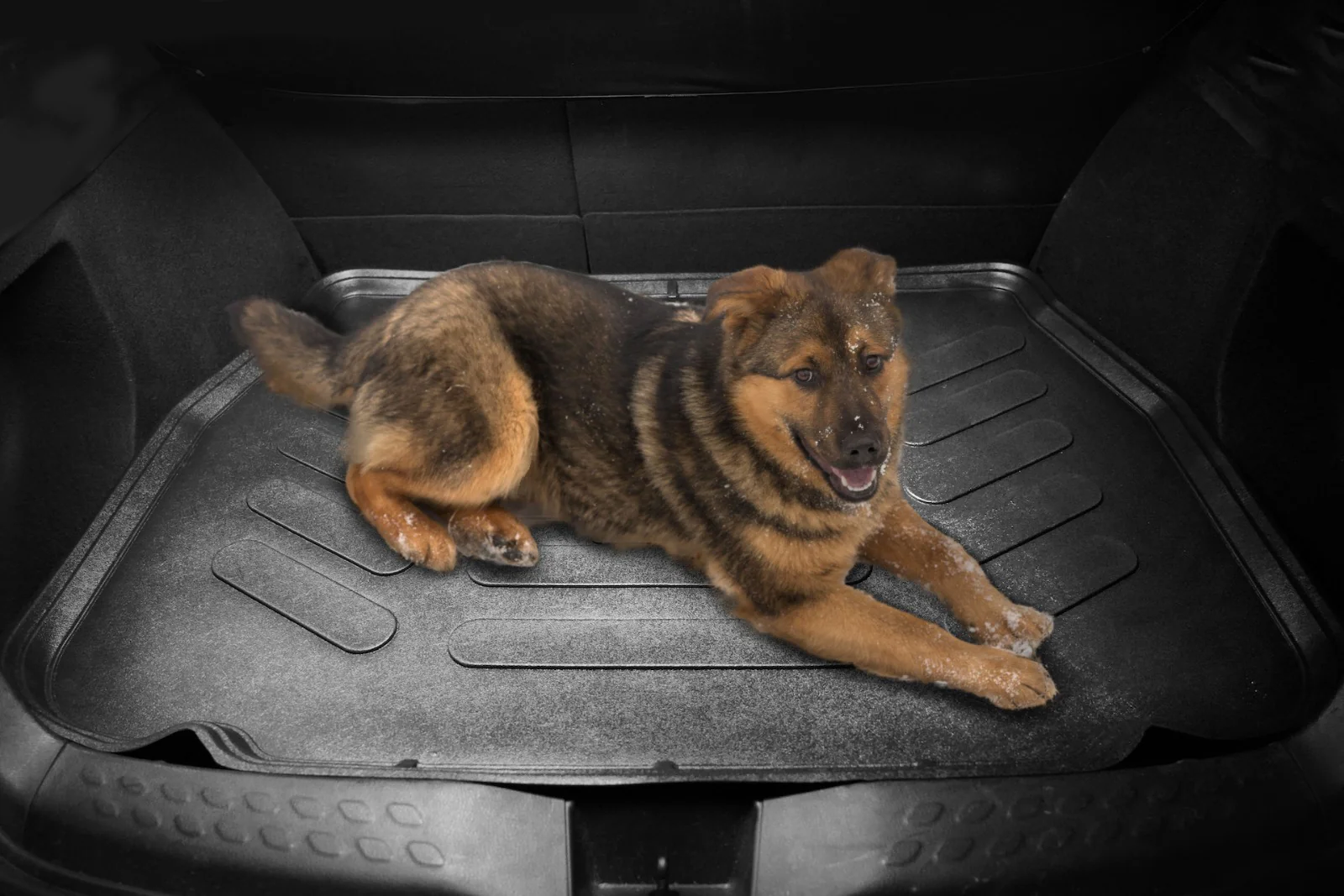 Premium 3D Auto Fußmatten Gummi – perfekt geformt für Ihr Fahrzeug