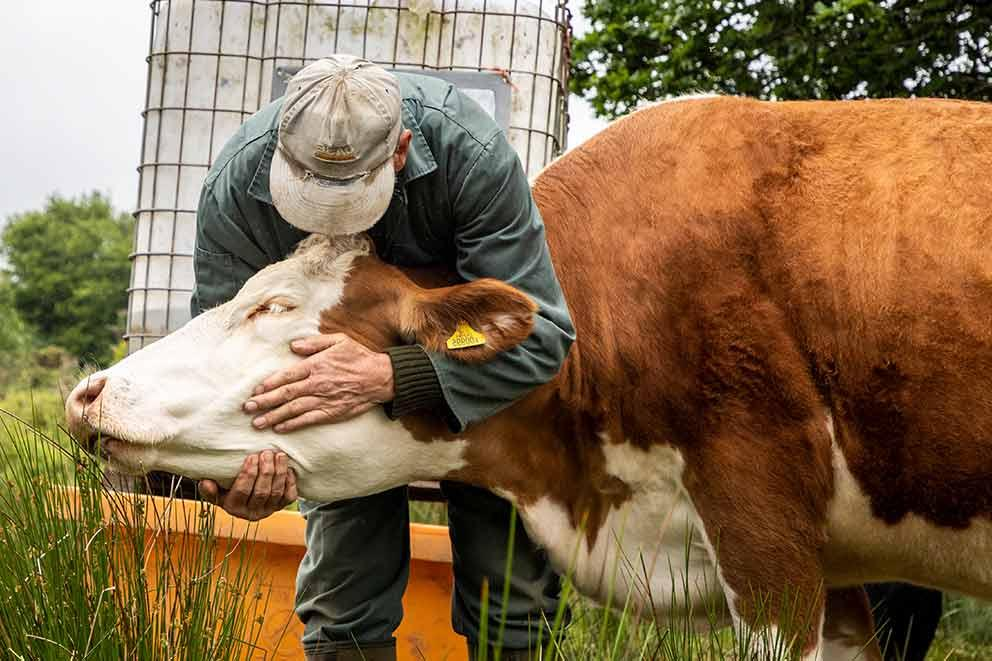 Tierschutz Deutschland: Förderung der Einheit für den Tierschutz
